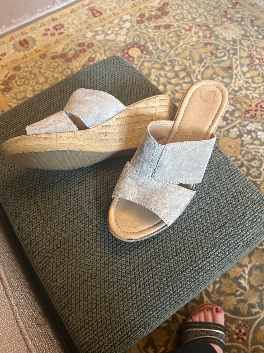 A. Giannetti Light Gray Suede Slide Wedge Sandals